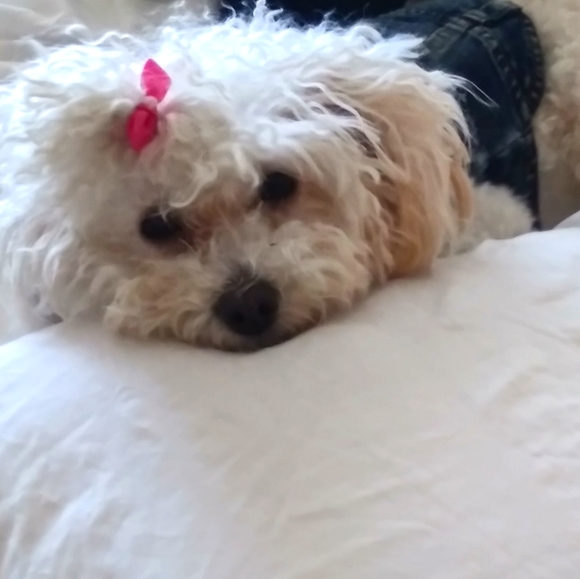 Meet your Posher, Mairim - Picture 1 of 4